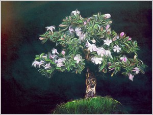 Bonsai Art by Matt's Bonsai Blog