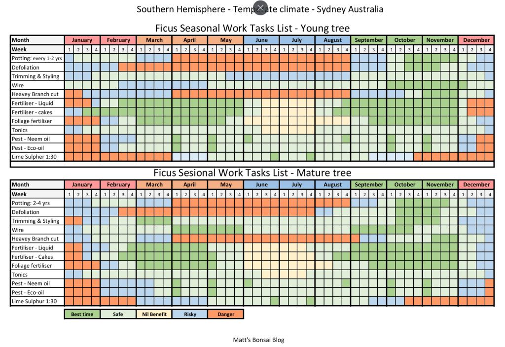 Ficus Seasonal Work Tasks&nbsp;List