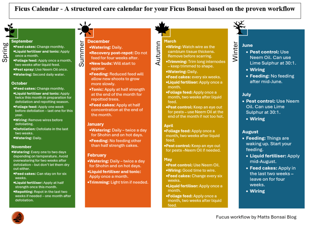 Ficus Calendar – A structured care calendar for your Ficus Bonsai based on the proven&nbsp;workflow