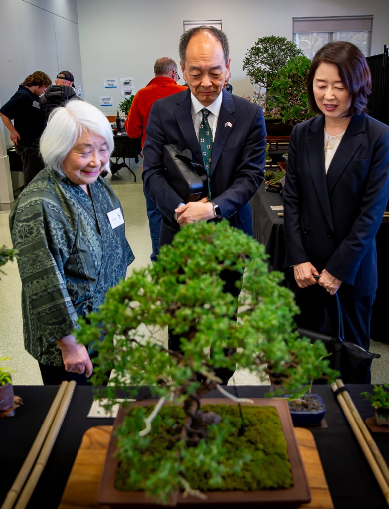 Bonsai Society of Sydney Exhibition 2025