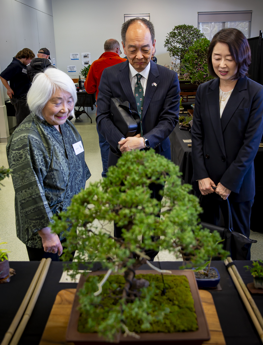 Bonsai Society of Sydney Exhibition&nbsp;2025